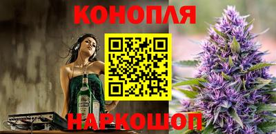 mdpv Заводоуковск