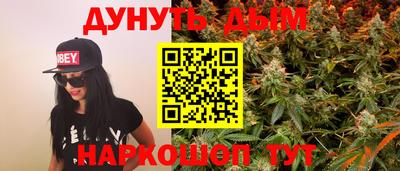 mdpv Заводоуковск
