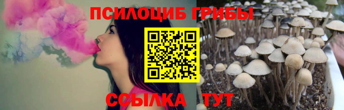 Балтийск  Галлюциногенные грибы Cubensis  Галлюциногенные грибы Psilocybe  Вход с VPN 